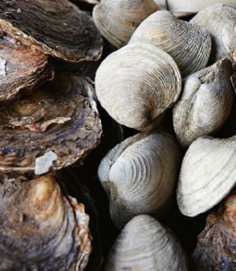 An opened can of tuna and some tuna on a plate over a rustic wooden surface representing the products of Southlander, Wholesale Flowers Near Me and Bulk Organic Food Produce Distributors.