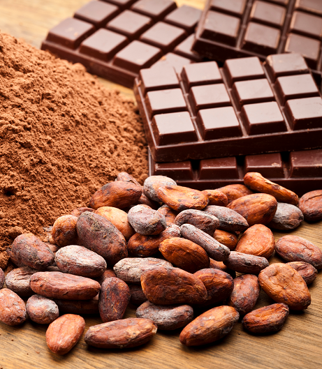 A visually appealing composition featuring cocoa beans and chocolate, illustrating the fundamental elements utilized in the making of this exquisite delicacy, representing the products of Southlander, Wholesale Flowers Near Me and Bulk Organic Food Produce Distributors.