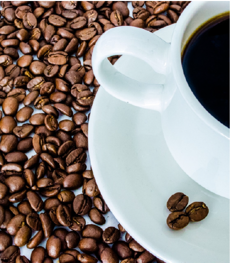 A collection of coffee beans is elegantly arranged on a white plate, highlighting their earthy tones and enticing fragrance, representing the products of Southlander, Wholesale Flowers Near Me and Bulk Organic Food Produce Distributors.