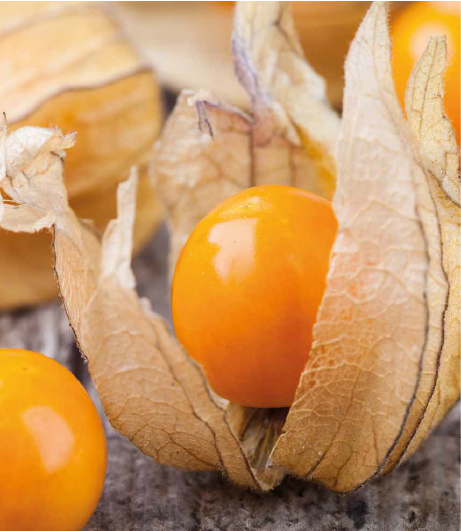 Fresh goldenberry or gooseberry on top of a wooden table, representing the products of Southlander, Wholesale Flowers Near Me and Bulk Organic Food Produce Distributors.